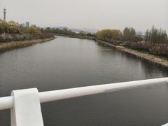 -羊亭河湿地公园