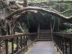 -七仙岭温泉国家森林公园