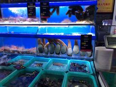 水产区-船梆煮•蒸汽海鲜·炉火烤肉(五四广场店)