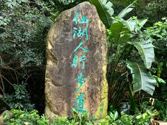 -深圳仙湖植物园