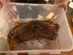 -亚特兰蒂斯·蟹餐厅 CRAB KITCHEN·鲜活海鲜