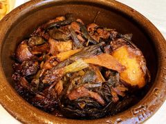 -食家鸽园