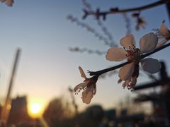 -廊坊文化艺术中心