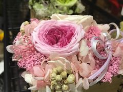 -植物学家的女儿(北马道巷店)