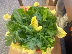 -古乐牛香•鲜牛肉牛杂火锅(系马桩总店)