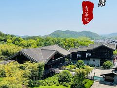 -大唐贡茶院