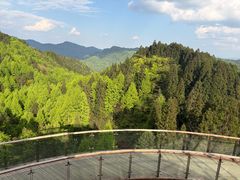-山王坪喀斯特国家生态公园