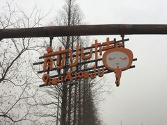 -前小桔亲子创意农场·草莓采摘·露营烧烤