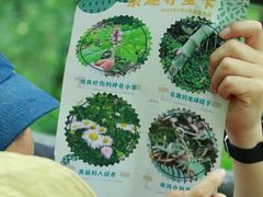 -上海佘山国家森林公园天马山园