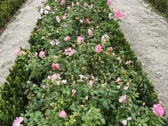 -胡安之家烤肉馆