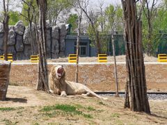 -秦皇岛野生动物园