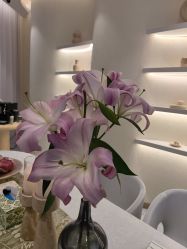 -王妃SPA·美容·科技抗衰