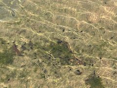 -北仑森林植物园