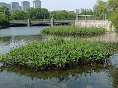 -尚贤河湿地