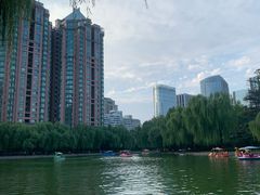 -团结湖公园