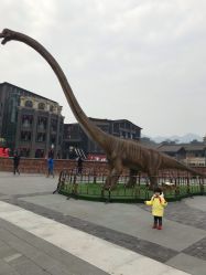 -恐龙探索乐园(磁器口店)