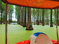 -渌洋湖湿地公园