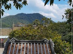 -鼎湖山风景区