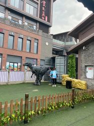 -恐龙探索乐园(磁器口店)