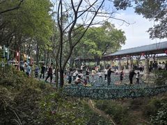 -盈香心动乐园