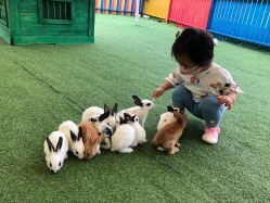 -萌宠亲子动物乐园(槐房万达店)