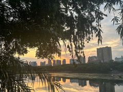 -南宁南湖公园