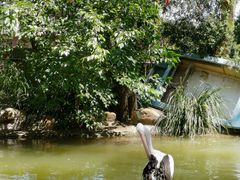 -费瑟代尔野生动物园