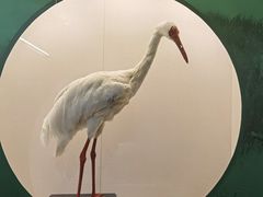 -中国湿地博物馆