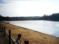 -崇明东平国家森林公园烧烤房车露营地