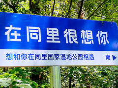 -同里国家湿地公园