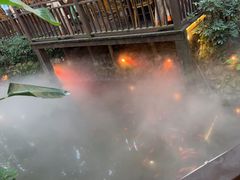 -二荆条·蜀鲜汇城市森林火锅