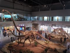 -自贡恐龙博物馆