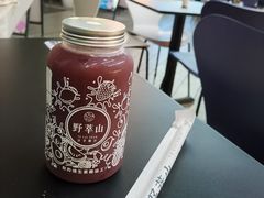 -野萃山·潮汕厚果汁(十亩地店)