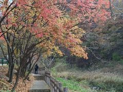 -三块石国家森林公园