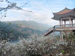 -广州市流溪河国家森林公园