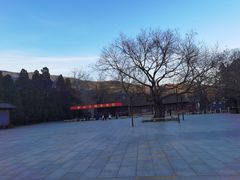 -香山公园