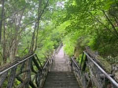 -汤旺河林海奇石景区