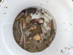 -南澳海滩