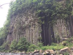 -望天鹅景区