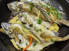 -阳江餐厅·30年老字号·粤菜海鲜大排档