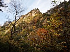 -青峰峡国家森林公园
