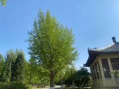 -中国农业博物馆