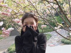 -南山植物园