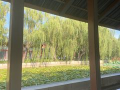 -白洋淀景区