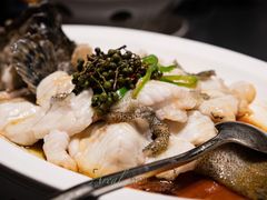 青花椒蒸龙胆鱼-闽和南(深圳万象城店)