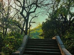 -花溪公园