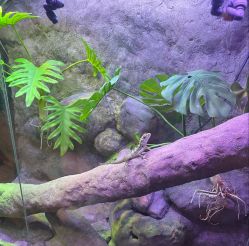 -酷嗒动物文化乐园(cutezoo西溪乐天城店)