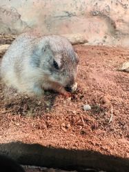 -Zoolung Zoolung动物主题公园(海信广场店)