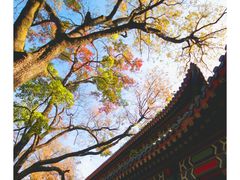 -灵谷景区