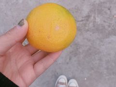 -上海老范农家乐(崇明前卫村店)